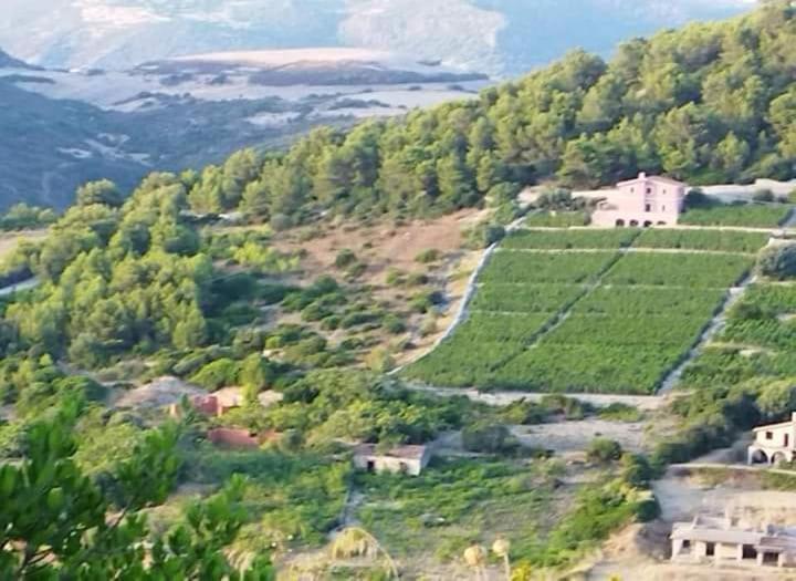 B&B Ammentos Magomadas Bagian luar foto